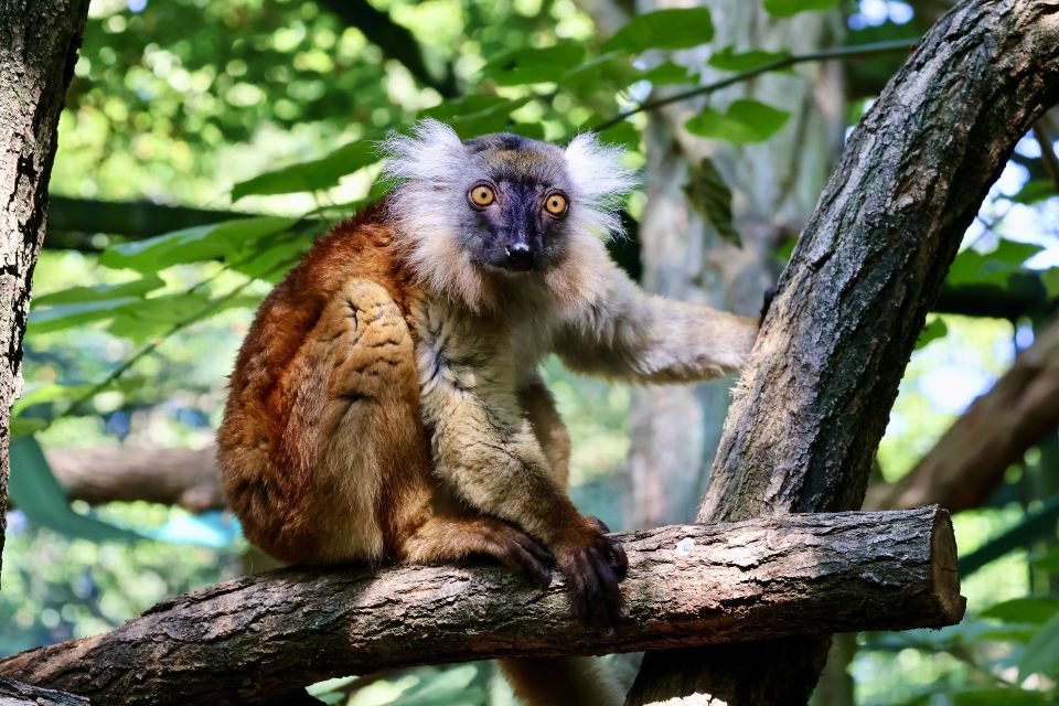 Foto: Monique Bartsch